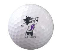Titleist Pro V1 Sleeve (3 Balls)